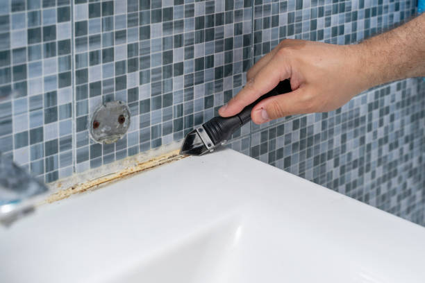 Best Mold Remediation Experts  in Almedia, PA